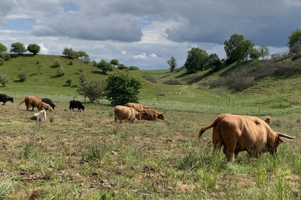 IMG 2709 1536x1152 1