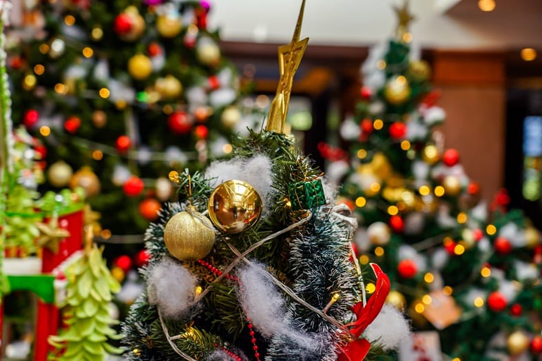 christmas tree and decorations 2025 03 09 23 56 01 utc