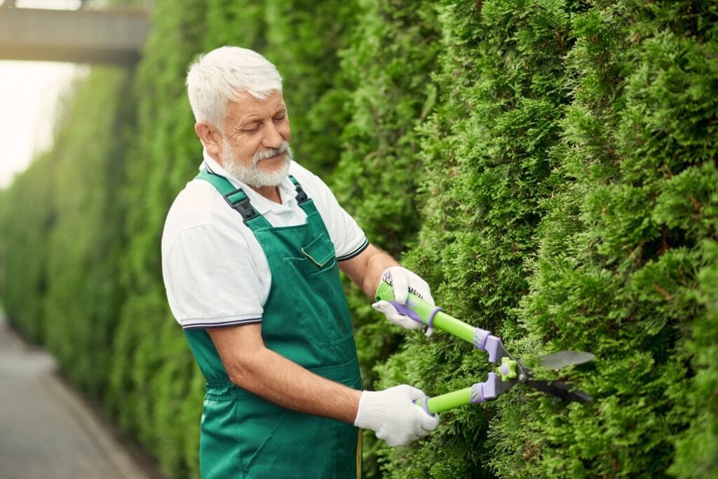 senior gardener using scissors for bushes 2026 03 24 23 13 00 utc