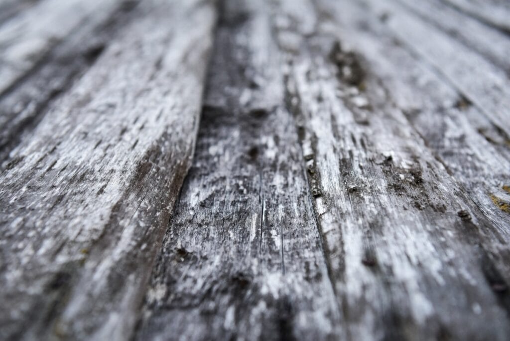 weathered wooden planks showing texture and grain 2026 01 06 09 33 10 utc
