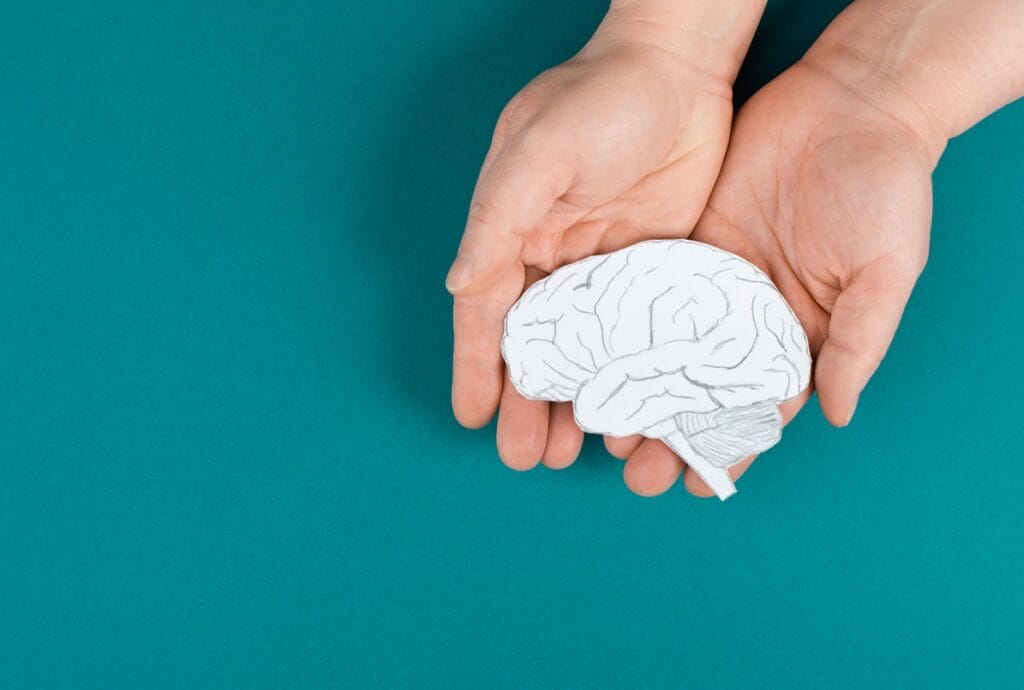 hands holding paper brain on teal background 2026 03 18 09 38 16 utc