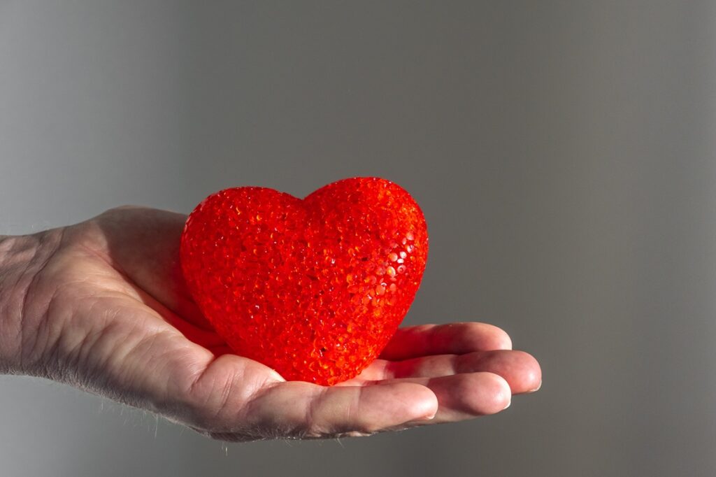 hand holding a bright red decorative heart 2026 09 23 16 48 39 utc